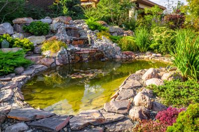 Koi Pond Maintenance in Honolulu, HI
