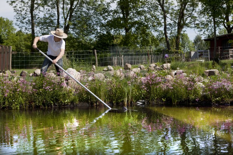 Koi Pond Maintenance