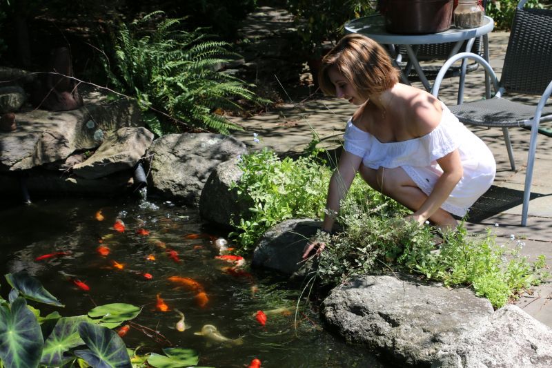 Koi Pond Maintenance