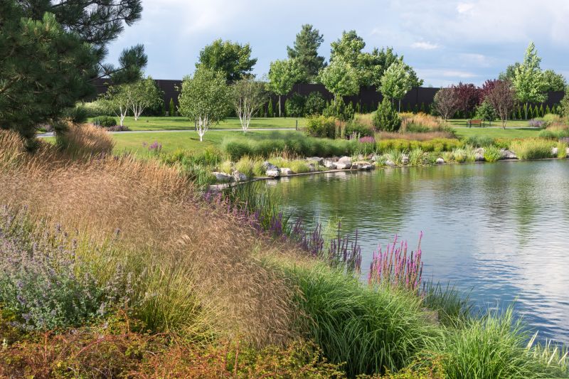 Pond Cleaning in Honolulu, HI