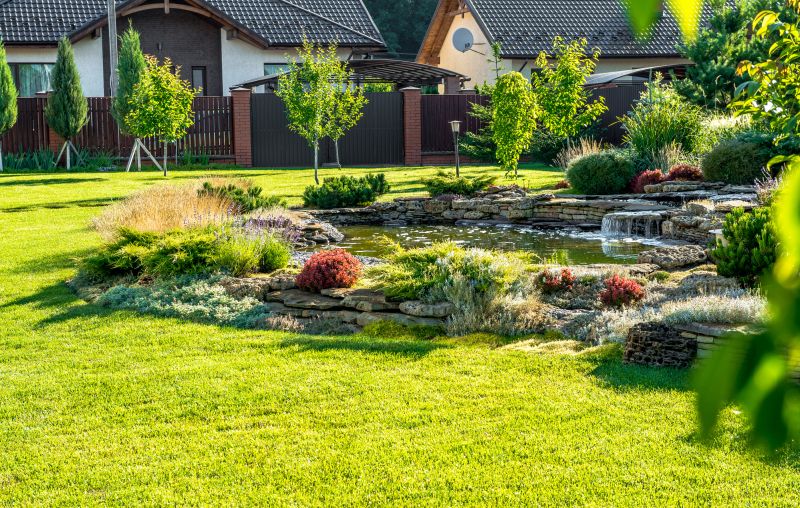 Expert Advice for Pond Care