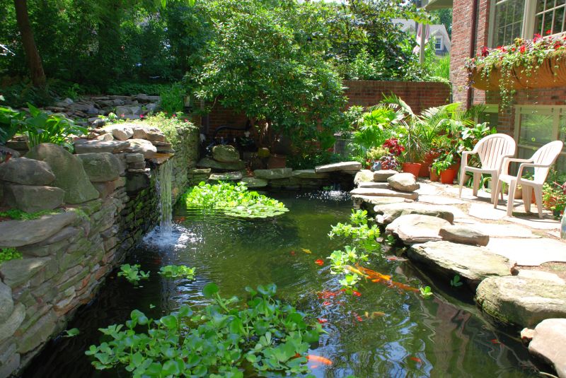 Koi Pond Construction in Honolulu, HI